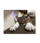 むこて（個別スタンプ：2）