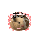ボンくん(̨̡՞ . .՞)̧̢（個別スタンプ：1）