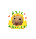 ボンくん(̨̡՞ . .՞)̧̢（個別スタンプ：3）