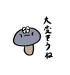 正直者なきのこ（個別スタンプ：6）