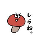 正直者なきのこ（個別スタンプ：13）