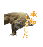 【公式】東山動植物園のコモドオオトカゲ（個別スタンプ：21）