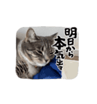 アールとエル（個別スタンプ：4）