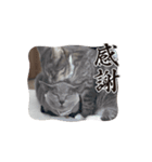 アールとエル（個別スタンプ：12）
