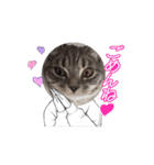 アールとエル（個別スタンプ：13）
