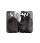 アールとエル（個別スタンプ：14）