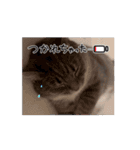 アールとエル（個別スタンプ：15）