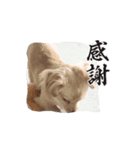 春夏秋冬@N（個別スタンプ：2）