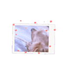 春夏秋冬@N（個別スタンプ：6）