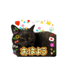 アタチのスタンプ！！（個別スタンプ：12）