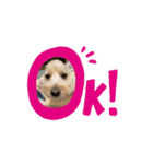 米太とつなとでんちゃん（個別スタンプ：4）