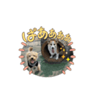 米太とつなとでんちゃん（個別スタンプ：5）