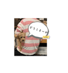 米太とつなとでんちゃん（個別スタンプ：15）
