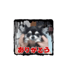 初心者です。よろしくお願いします。（個別スタンプ：4）
