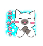 黒猫さんとシャム猫さんの日常2（個別スタンプ：5）