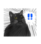 黒猫さんとシャム猫さんの日常2（個別スタンプ：19）