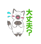 黒猫さんとシャム猫さんの日常2（個別スタンプ：21）