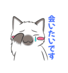 黒猫さんとシャム猫さんの日常2（個別スタンプ：30）