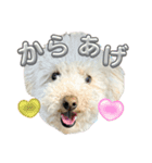 みんな大好きからあげ（個別スタンプ：1）