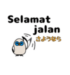 カンムリシロムク インドネシア語 日本語（個別スタンプ：11）