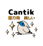 カンムリシロムク インドネシア語 日本語（個別スタンプ：17）