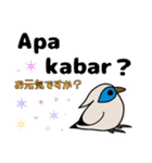 カンムリシロムク インドネシア語 日本語（個別スタンプ：21）