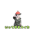 動く！踊るダジャレ猫ミーム(パート2)（個別スタンプ：1）