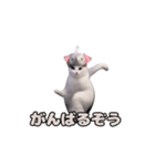 動く！踊るダジャレ猫ミーム(パート2)（個別スタンプ：10）
