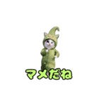 動く！踊るダジャレ猫ミーム(パート2)（個別スタンプ：11）