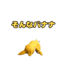 動く！踊るダジャレ猫ミーム(パート2)（個別スタンプ：12）
