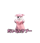 動く！踊るダジャレ猫ミーム(パート2)（個別スタンプ：15）