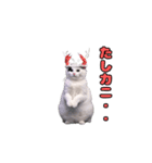 動く！踊るダジャレ猫ミーム(パート2)（個別スタンプ：17）