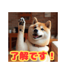 柴犬のほのぼの挨拶スタンプ（個別スタンプ：1）