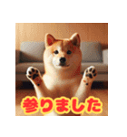 柴犬のほのぼの挨拶スタンプ（個別スタンプ：4）