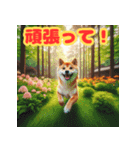 柴犬のほのぼの挨拶スタンプ（個別スタンプ：7）