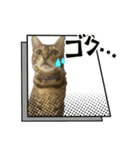 ごにゃんとP家の仲間たち（個別スタンプ：3）