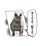 ごにゃんとP家の仲間たち（個別スタンプ：6）