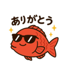 うさぎ 飛行機 日本語 ららら（個別スタンプ：5）