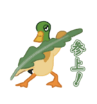 カモのまにまに（個別スタンプ：1）