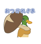 カモのまにまに（個別スタンプ：10）
