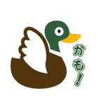 カモのまにまに（個別スタンプ：15）