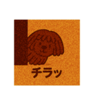 プーリー界のスター☆もっぷー（個別スタンプ：13）