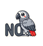 英語でヨウム（個別スタンプ：6）
