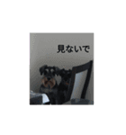 ミナミキッズさいきょう（個別スタンプ：8）