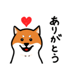 柴犬ワンワンスタンプ（個別スタンプ：1）