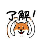 柴犬ワンワンスタンプ（個別スタンプ：2）