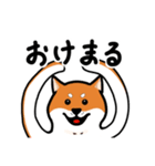柴犬ワンワンスタンプ（個別スタンプ：3）
