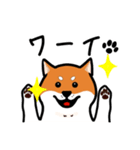 柴犬ワンワンスタンプ（個別スタンプ：5）