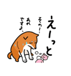柴犬ワンワンスタンプ（個別スタンプ：6）