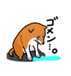 柴犬ワンワンスタンプ（個別スタンプ：7）